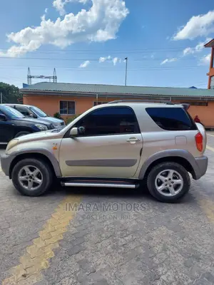 Toyota RAV4 2004 Gray