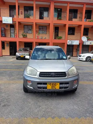 Toyota RAV4 2004 Gray