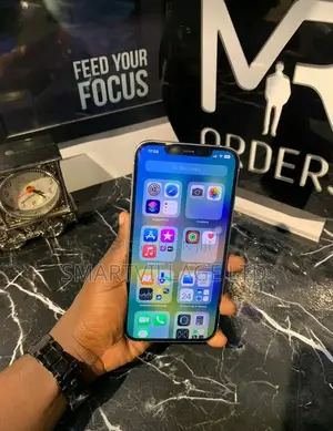 Apple iPhone 12 Pro Max 256 GB Silver