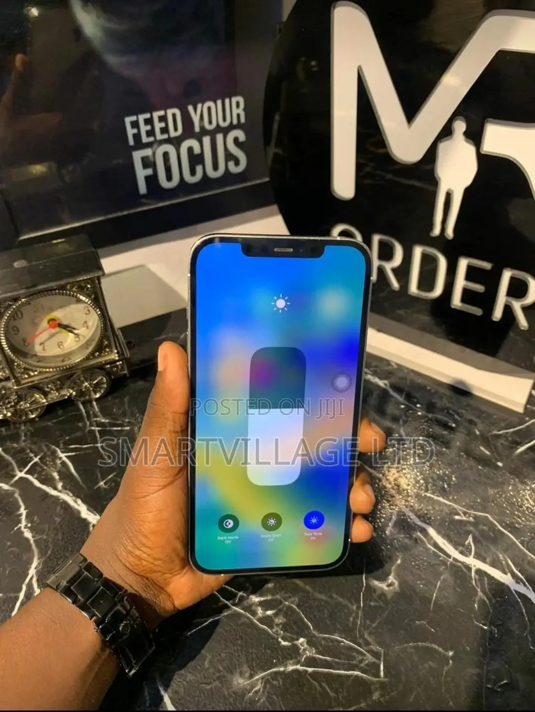 Apple iPhone 12 Pro Max 256 GB Silver