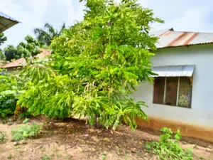 3bdrm House in Mar Real Estate, Mbezi for Sale
