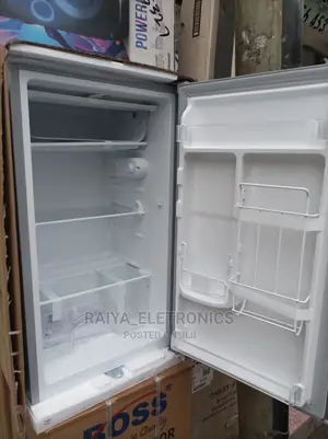 Roch Fridge