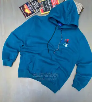 Hoodies Champion