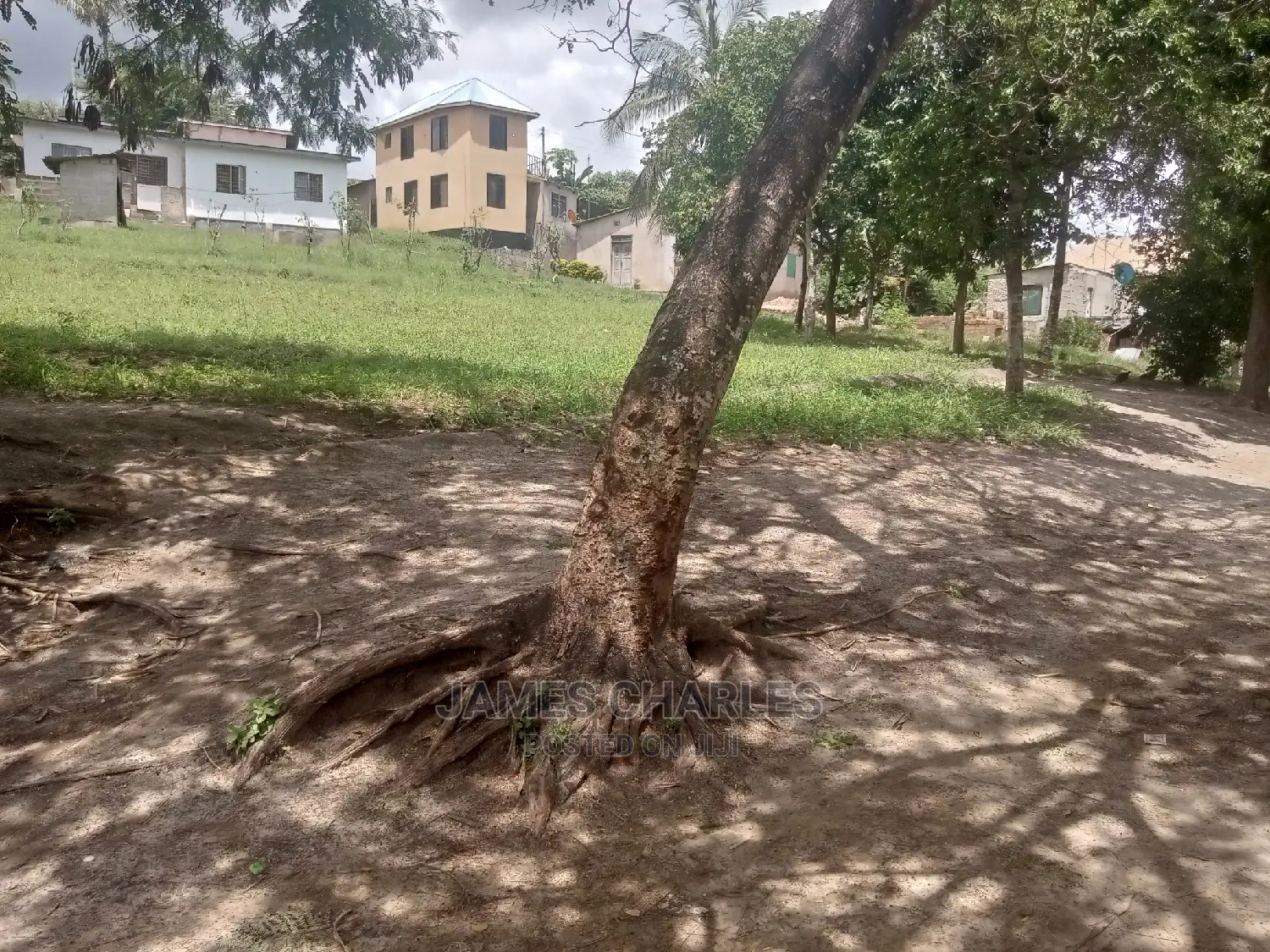 Plot/Kiwanja