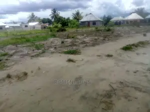 Eneo La Kibiashara Linauzwa Milioni 4.5 Ukonga Majohe Viwege