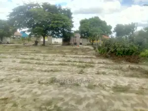 Eneo Zuri Sana Linauzwa Ukonga Majohe Viwege Kwa Mpemba. M5