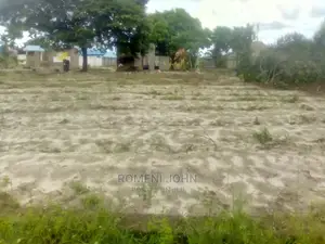 Eneo Zuri Sana Linauzwa Ukonga Majohe Viwege Kwa Mpemba. M5