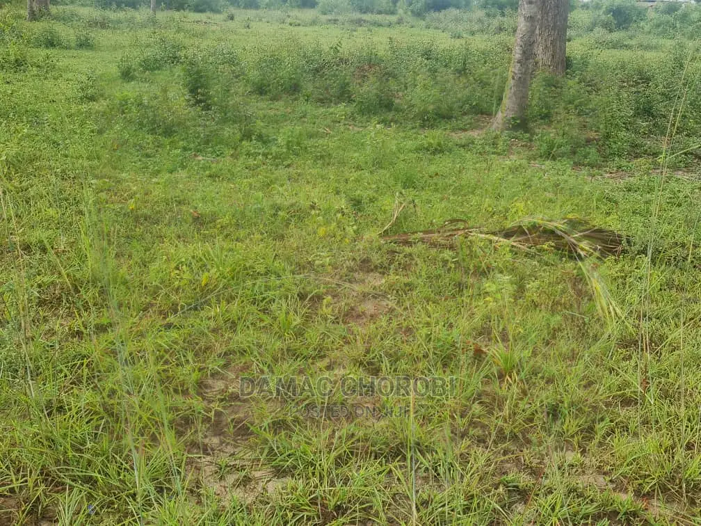 Jipatie Viwanja Hivi Bora Kabisa Luguruni Nusu Kilomita