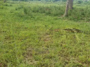 Jipatie Viwanja Hivi Bora Kabisa Luguruni Nusu Kilomita