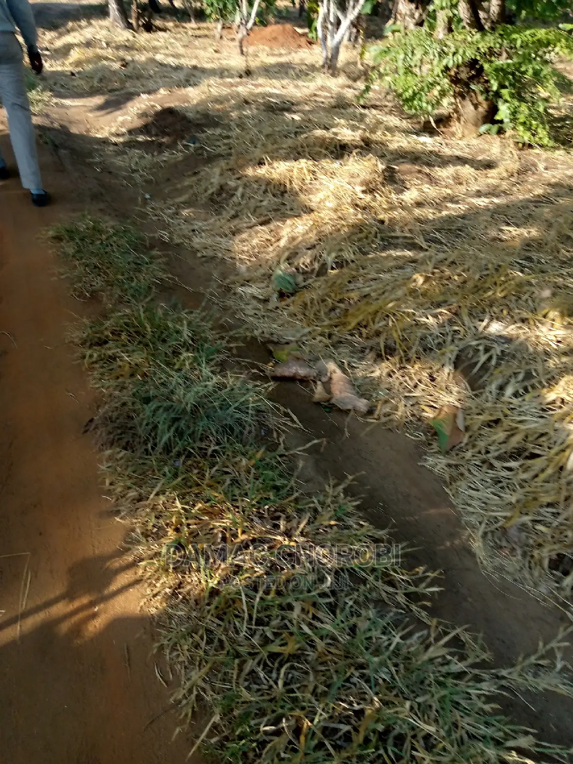 Jipatie Mashamba Bora Kwa Bei Rahisi Mno Acre Moja 150000