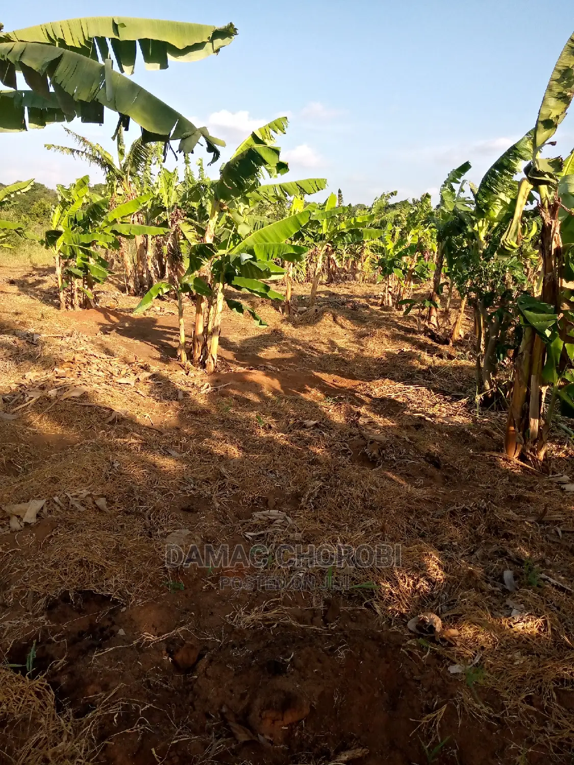 Jipatie Mashamba Bora Kwa Bei Rahisi Mno Acre Moja 150000