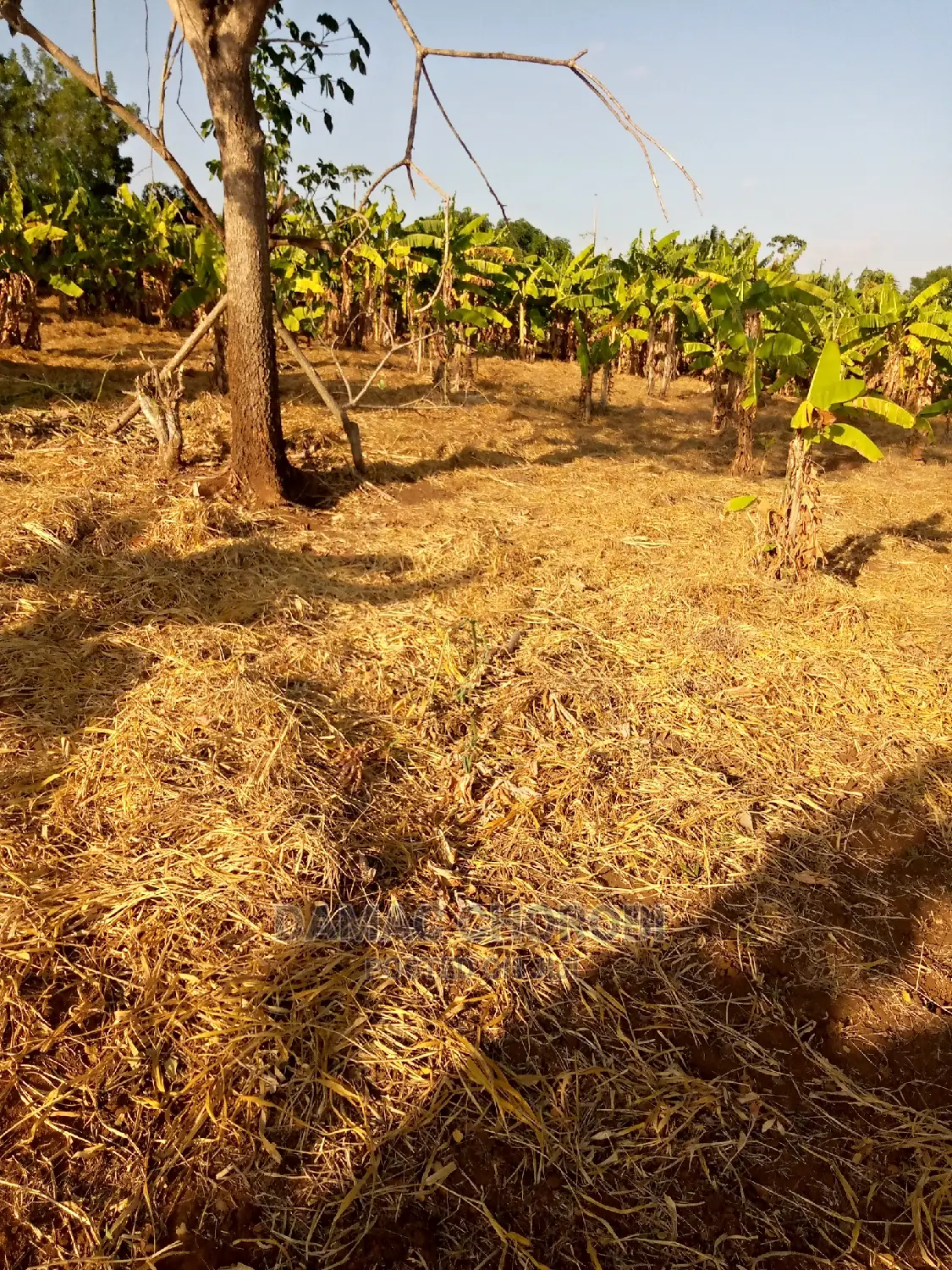 Jipatie Mashamba Bora Kwa Bei Rahisi Mno Acre Moja 150000