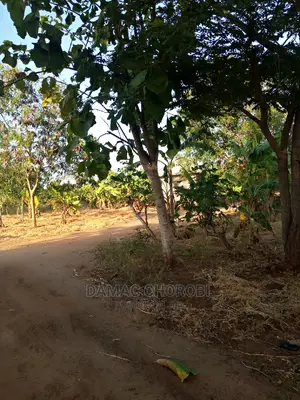 Jipatie Mashamba Bora Kwa Bei Rahisi Mno Acre Moja 150000