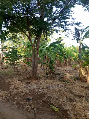 Jipatie Mashamba Bora Kwa Bei Rahisi Mno Acre Moja 150000