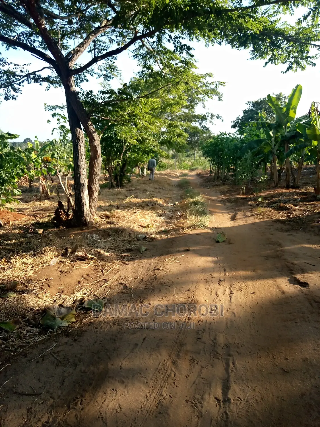 Jipatie Mashamba Bora Kwa Bei Rahisi Mno Acre Moja 150000