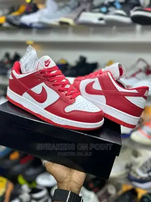 Brand New Nike Sb