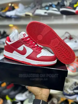 Brand New Nike Sb