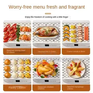 Digital Food Steamer