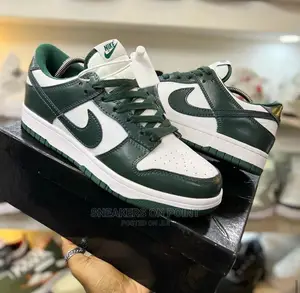 Brand New Nike Sb