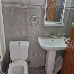 3bdrm Apartment in Kariakoo for rent