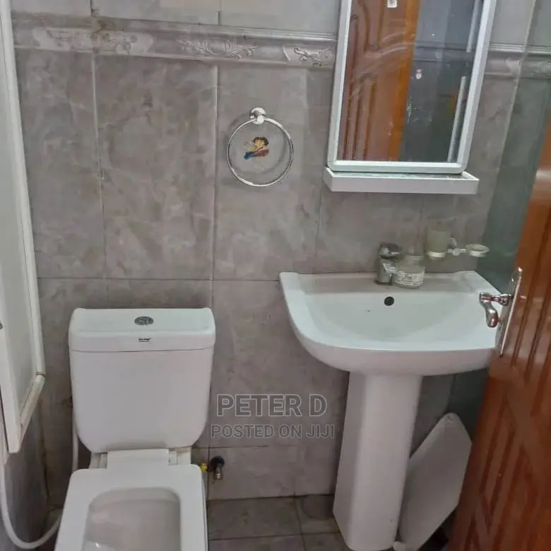 3bdrm Apartment in Kariakoo for rent