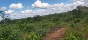 Shamba La Ekari 200 Linauzwa Kiwangwa Bagamoyo