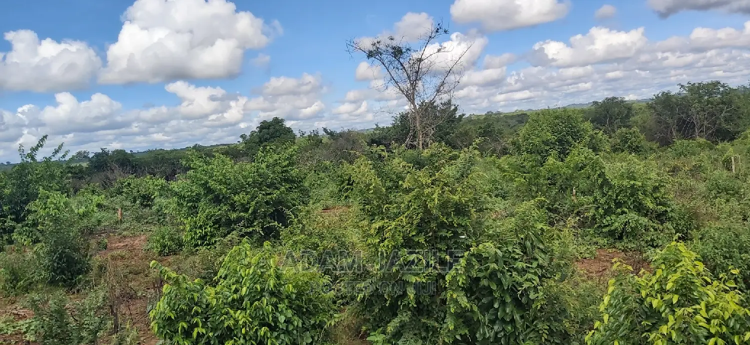 Shamba La Ekari 200 Linauzwa Kiwangwa Bagamoyo
