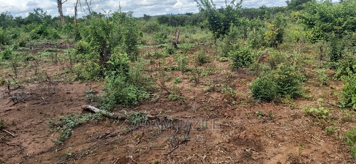 Shamba La Ekari 200 Linauzwa Kiwangwa Bagamoyo
