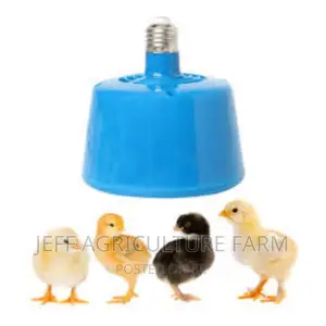 Heater Za Joto Kwa Vifaranga