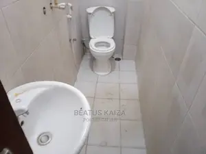 Furnished 1bdrm Apartment in Kariakoo Lumumba for rent