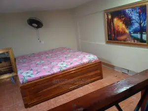 Furnished 1bdrm Apartment in Kariakoo Lumumba for rent