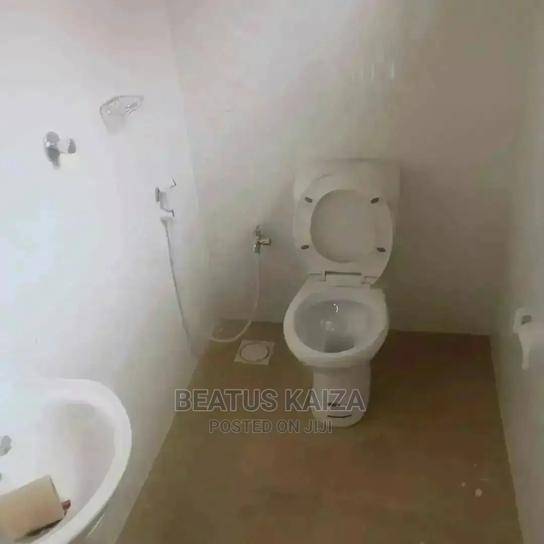 Furnished 1bdrm Apartment in Kariakoo Lumumba for rent