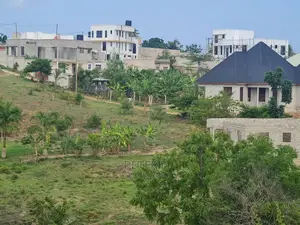 Kiwanja Cha Kishua