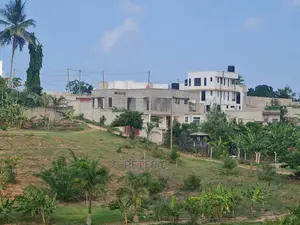 Kiwanja Cha Kishua