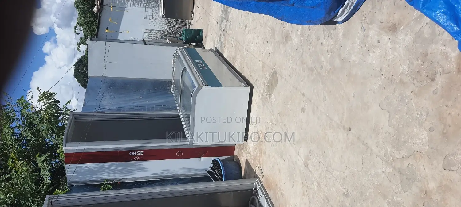 Supermarket,Butcher High Capacity Freezer 1200L