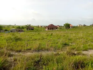 2 Lindi (Mitwero) Plots for Sale