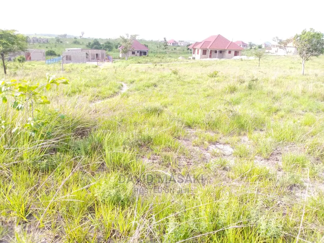 2 Lindi (Mitwero) Plots for Sale