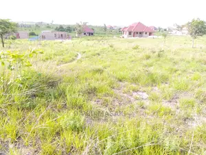2 Lindi (Mitwero) Plots for Sale