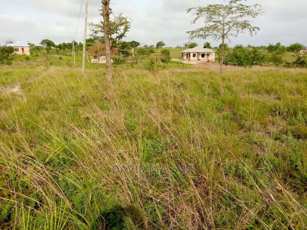 2 Lindi (Mitwero) Plots for Sale