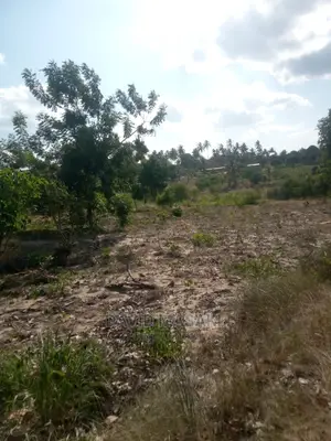 Lindi Mitwero Large Plot for Sale