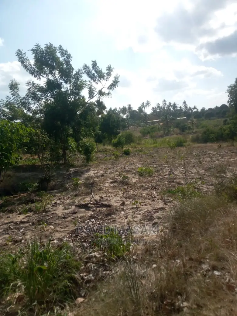Lindi Mitwero Large Plot for Sale