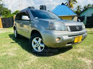Nissan X-Trail 2005 Silver