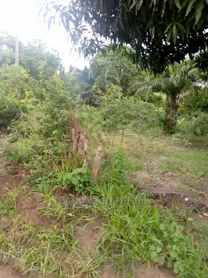 Shamba Kuwa Acre 1500 for Sale Iringa Farmhouse