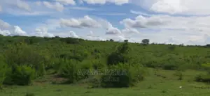 Shamba La Ekari 5 Linauzwa Bago Kiwangwa