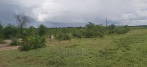 Eneo La Barabarani Linauzwa Kiwangwa Bago