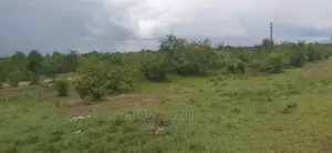 Eneo La Barabarani Linauzwa Kiwangwa Bago