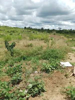 Shamba La Ekari 50 Linauzwa Bago Kiwangwa