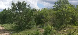 Shamba La Ekari 50 Linauzwa Kiwangwa