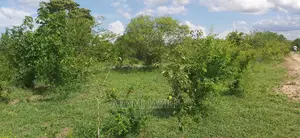 Shamba La Ekari 50 Linauzwa Kiwangwa