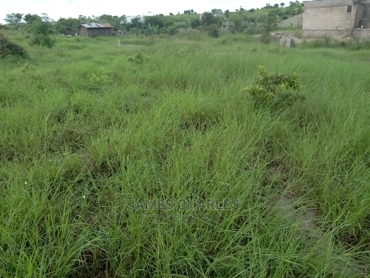 Kiwanja Kinauzwa